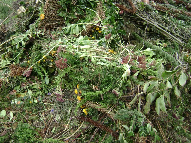 Dechets de jardin