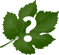 feuille interrogation