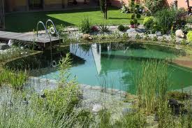 piscine naturelle